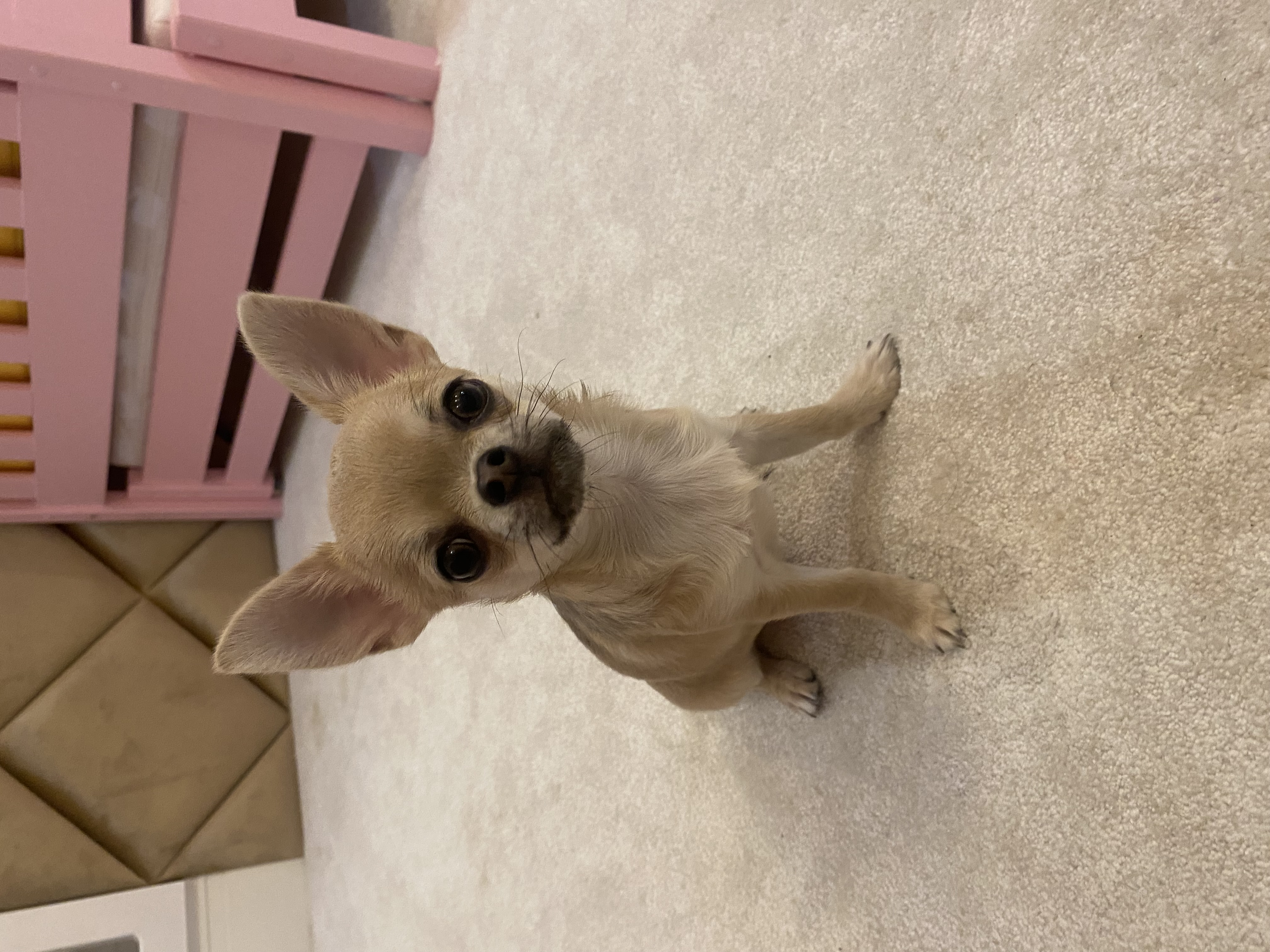 Sweet in another adorable pose